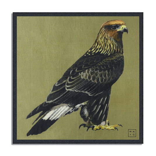 Chokore The Eagle Has Landed - Pocket Square & Dark Grey color silk tie for men