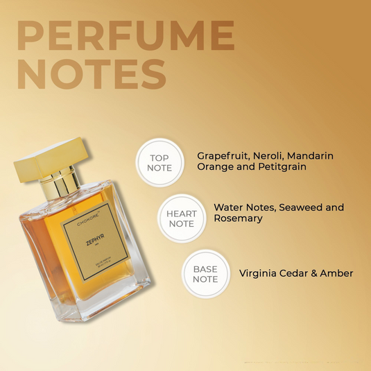 Connection . Zypher | 2 x 50ml Perfume Combo For Men | (Morning / All Day)