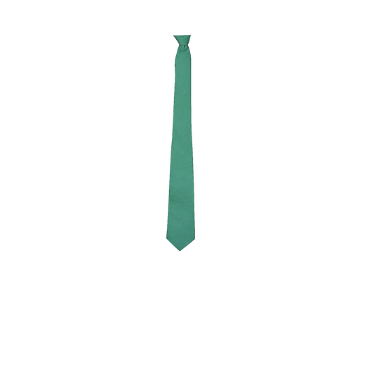Dark Sea Green Color Silk Tie for Men