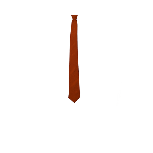 Chokore Rust Silk Necktie - Solids Collection