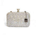 Chokore Chokore Embellished Evening Clutch/Handbag (Silver) 