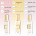 Chokore Chokore Perfume Combo Pack of 3 Only For Women (Elixir, Scandalous, & Date Night) | 3 x 20 ml 