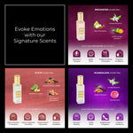 Chokore Chokore Perfume Combo Pack of 3 Only For Women (Enchanted, Elixir, & Scandalous) | 3 x 20 ml 