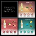 Chokore Chokore Perfume Combo Pack of 3 For Men & Women (Zephyr, Elixir, & 100 Per Scent) | 3 x 20 ml 