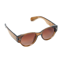 Chokore Chokore Trendy Round Sunglasses with Thick Temple (Brown)