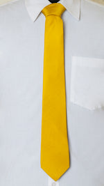 Chokore Chokore Yellow Colour Silk Tie - Solids range 