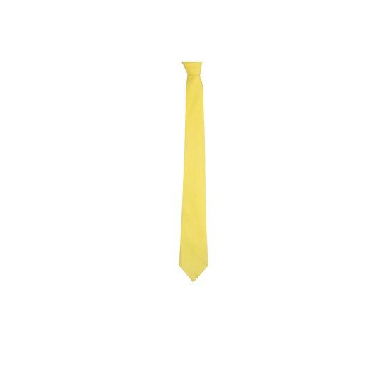 Chokore Yellow color silk tie & Two-in-one Yellow & Purple Green Silk Pocket Square set