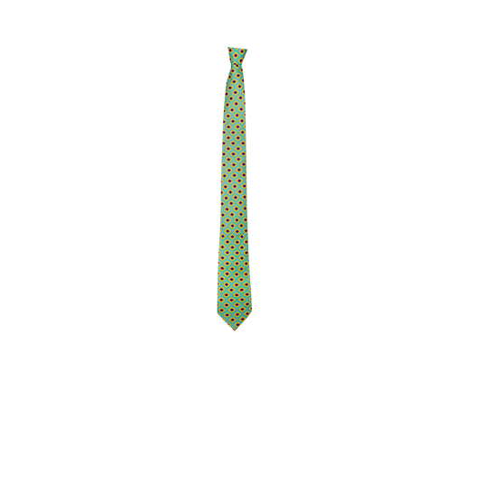 Chokore Light Sea Green & Yellow Silk Tie - Indian At Heart Collection