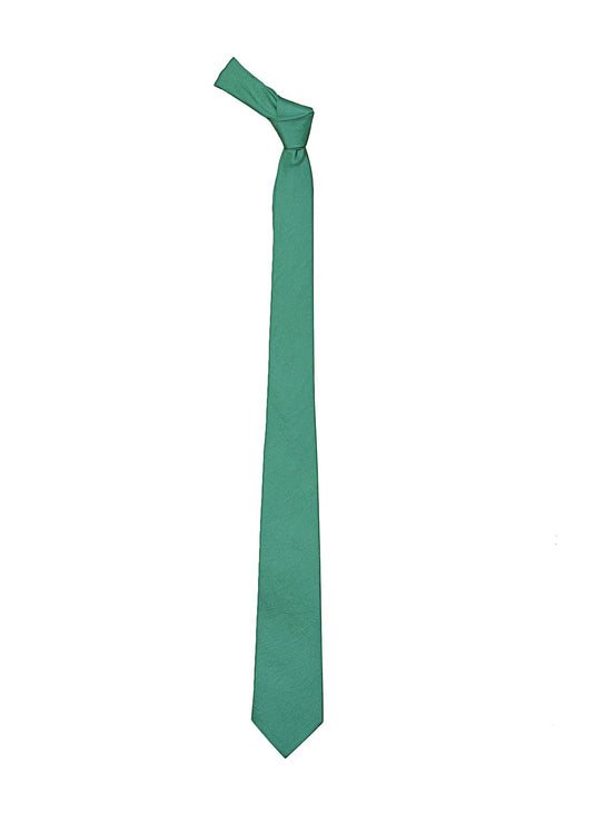 Dark Sea Green Color Silk Tie for Men