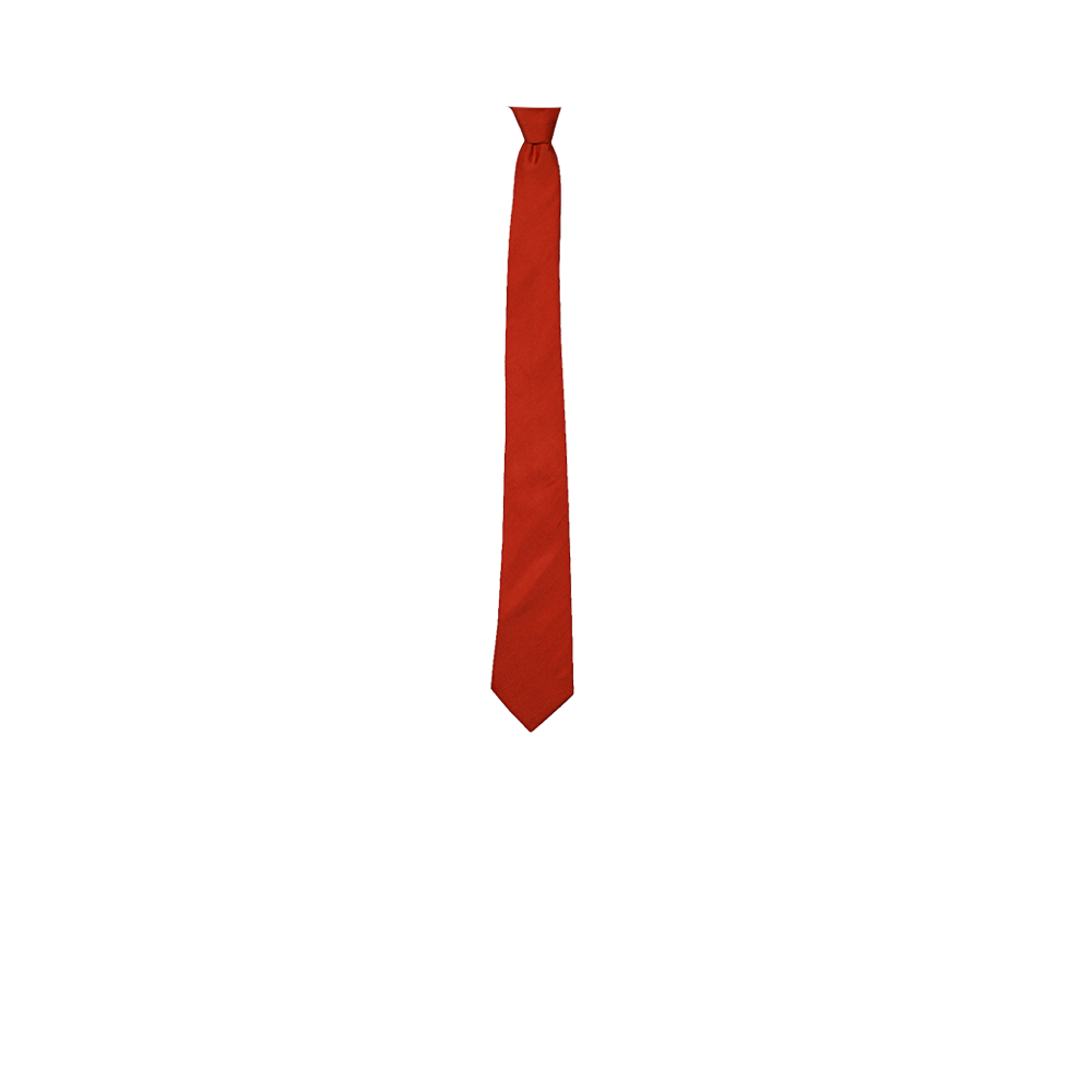 Chokore Red Color Silk Tie for men