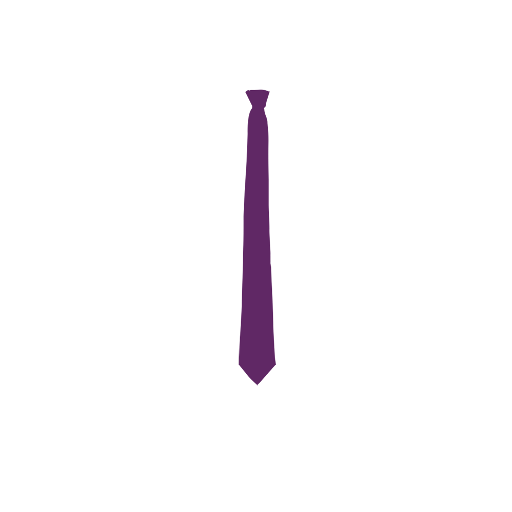 Purple color silk tie for men
