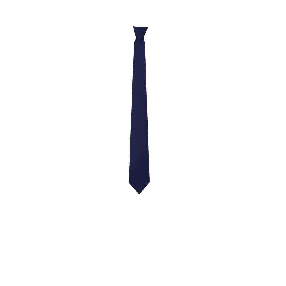 Chokore Navy Blue Silk Tie - Solids line