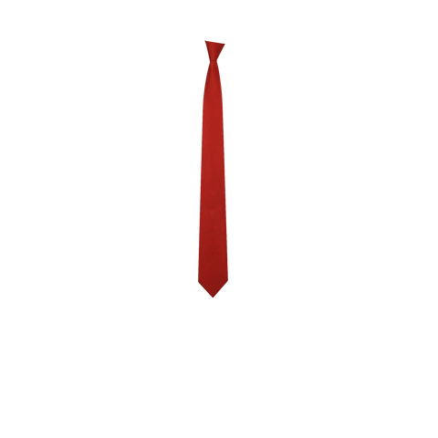 Chokore Red Silk Tie from Solids line - Chokore Red Silk Tie from Solids line